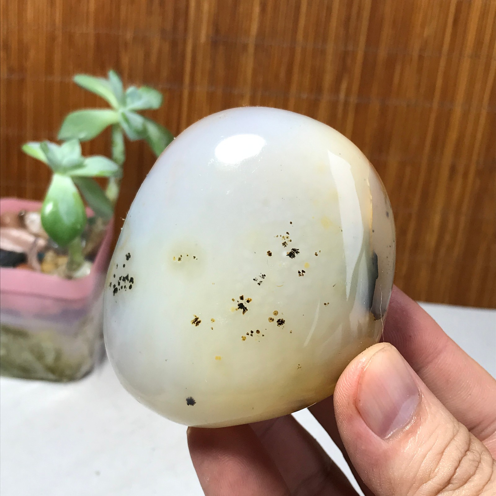 71mm Natural aquatic plants agate pretty Crystal specimens 210g A1637