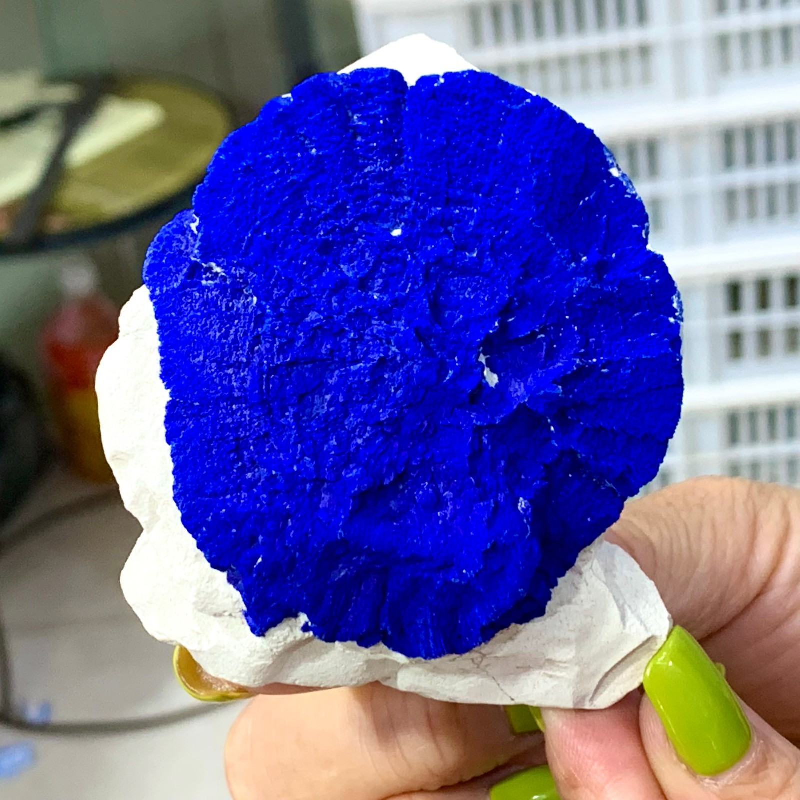 147G Sunflower azurite Fantastic Azurite Suns On Kaoline from Malbunka Australia