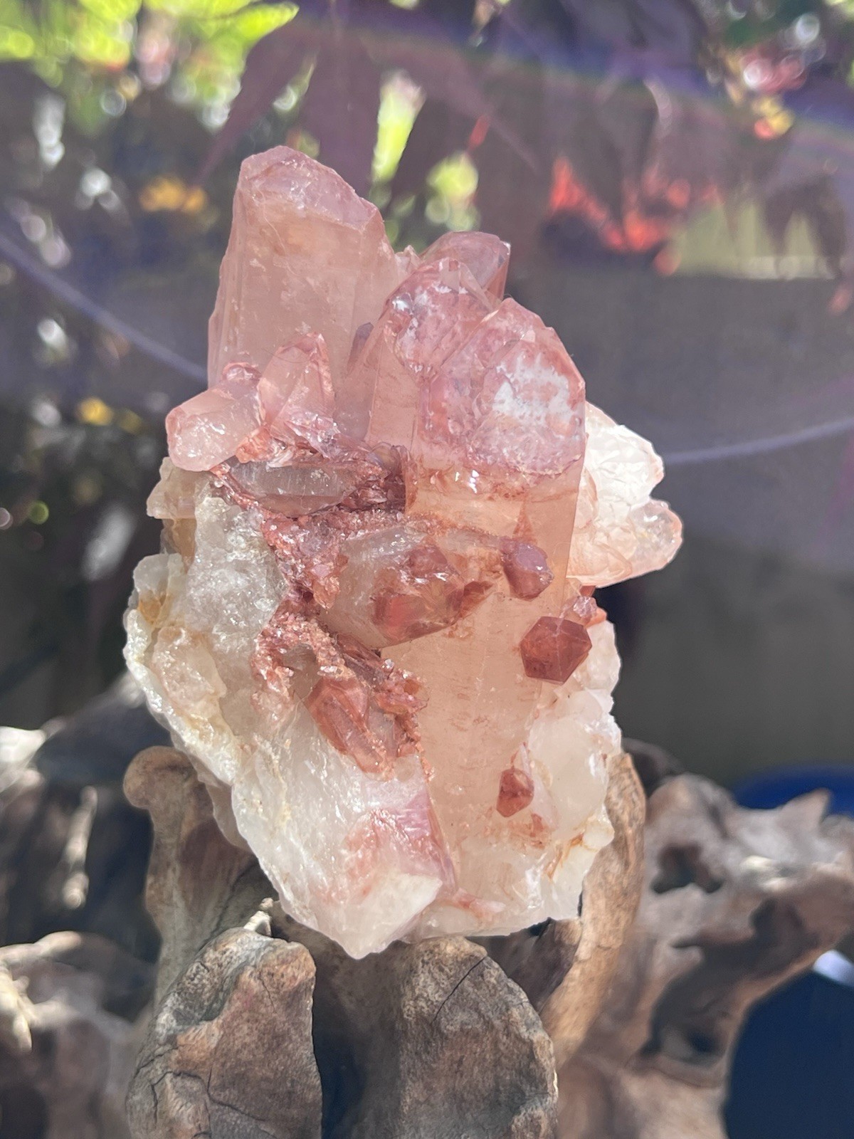 Lithium Quartz Large Cluster AAA+ : Master Healer Clarity 449g 7