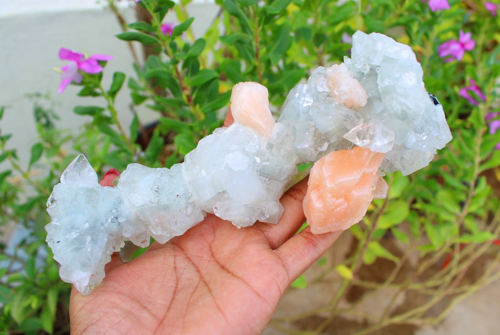 Apophyllite Crystals w/ Stilbite Formation Minerals Specimen ( 20×7 ) REPAIR