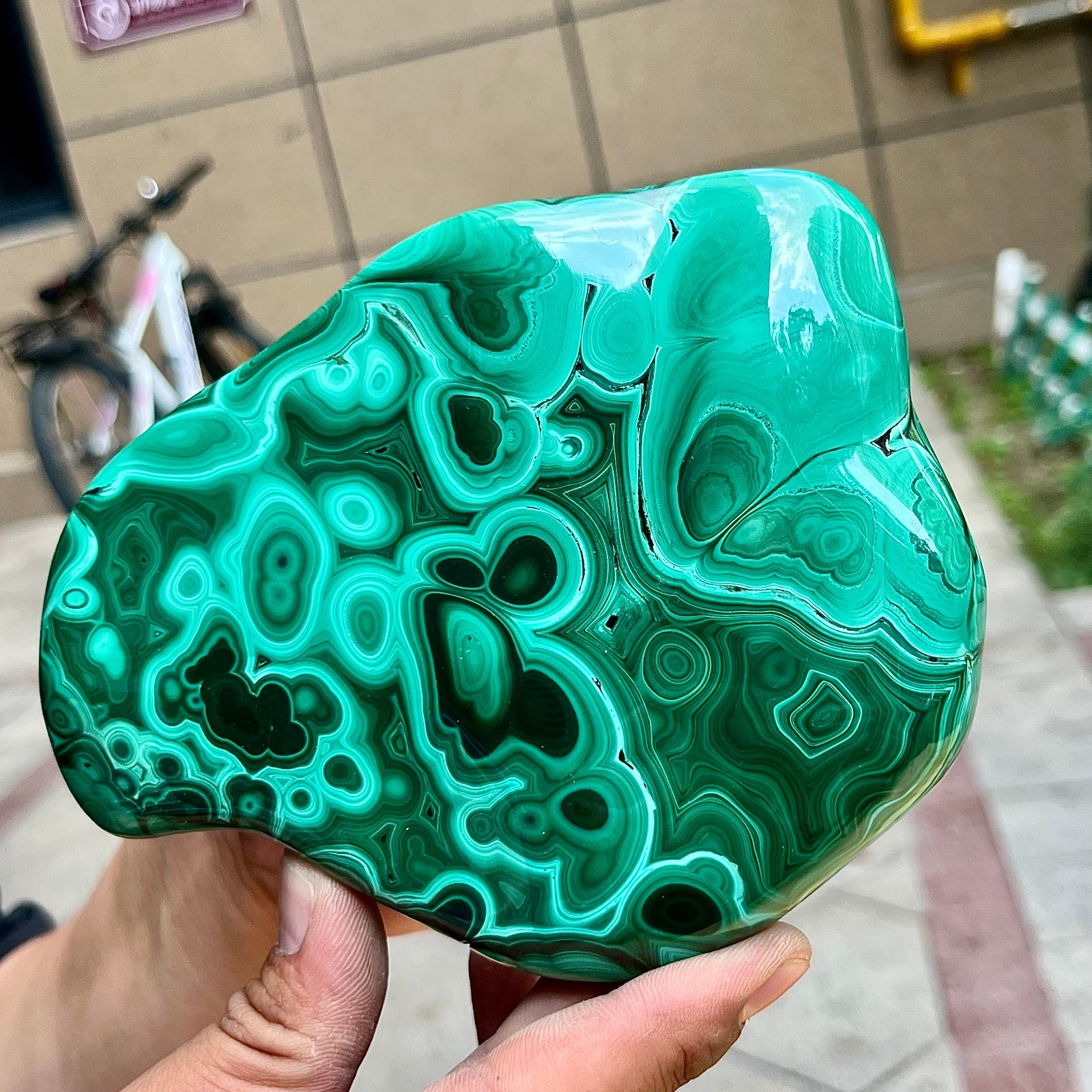 2.2 lb Malachite Quartz Freeform One Side Polished Natural Crystal Specimen
