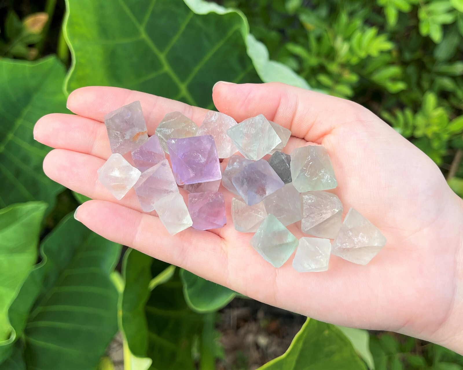 Fluorite Octahedron Crystals: Choose How Many Pieces (Premium Quality ‘A’ Grade)