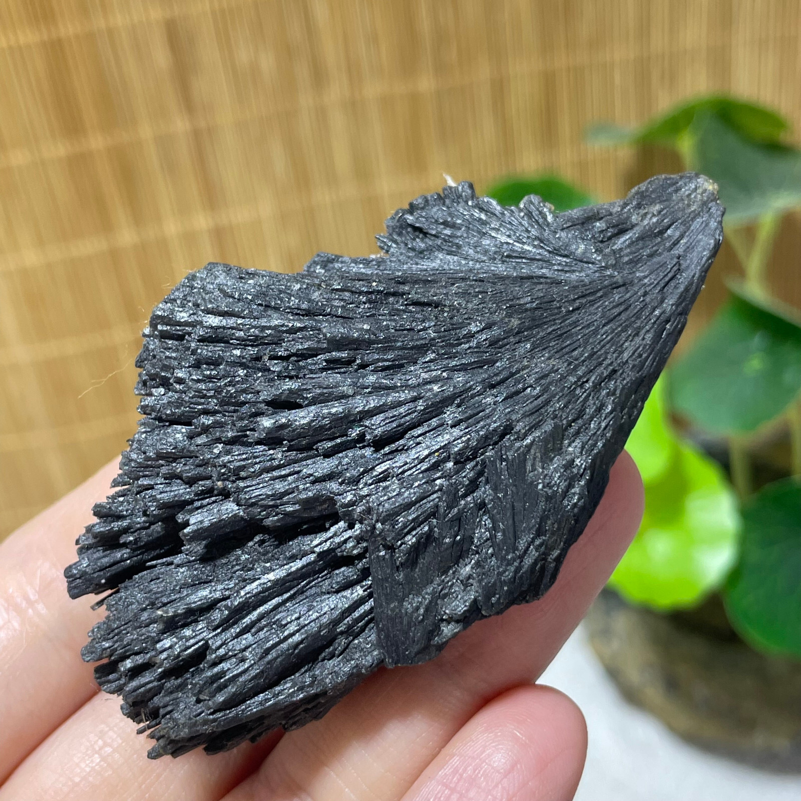 64g Natural Irregular natural black crystal cluster mineral specimen（dian qishi）