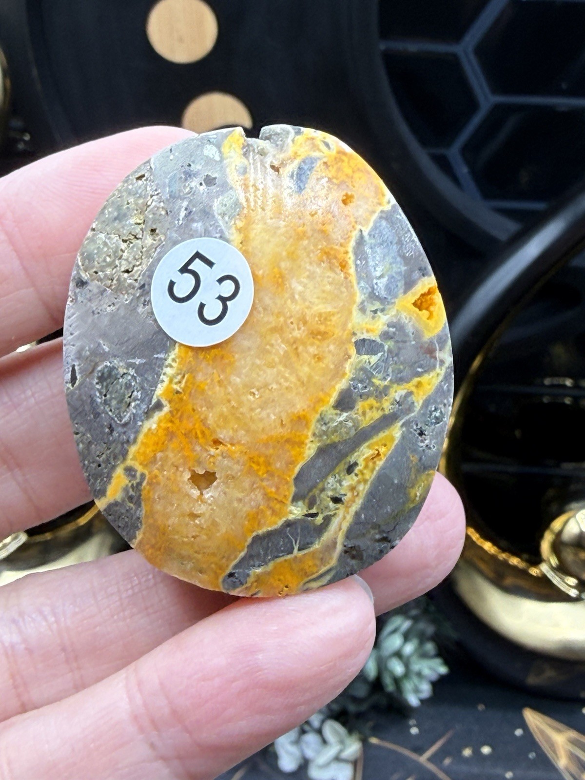 Natural Bumblebee Jasper Palms Druze vugs raw Free shipping