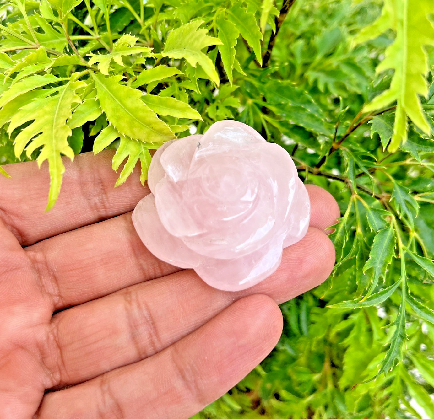 Premium Rose Quartz Flower Carving 44mm Natural Sculpture Love Chakra Crystal AA