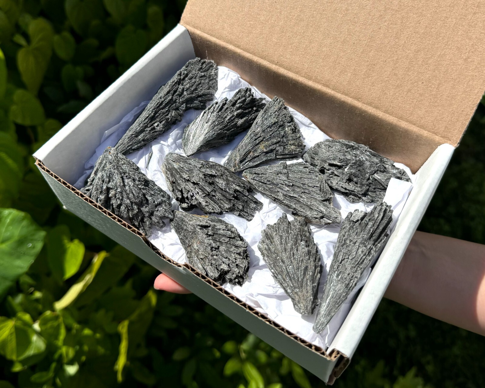 Black Kyanite Blades: Premium Quality Chunky Natural Rough Kyanite Flat Box