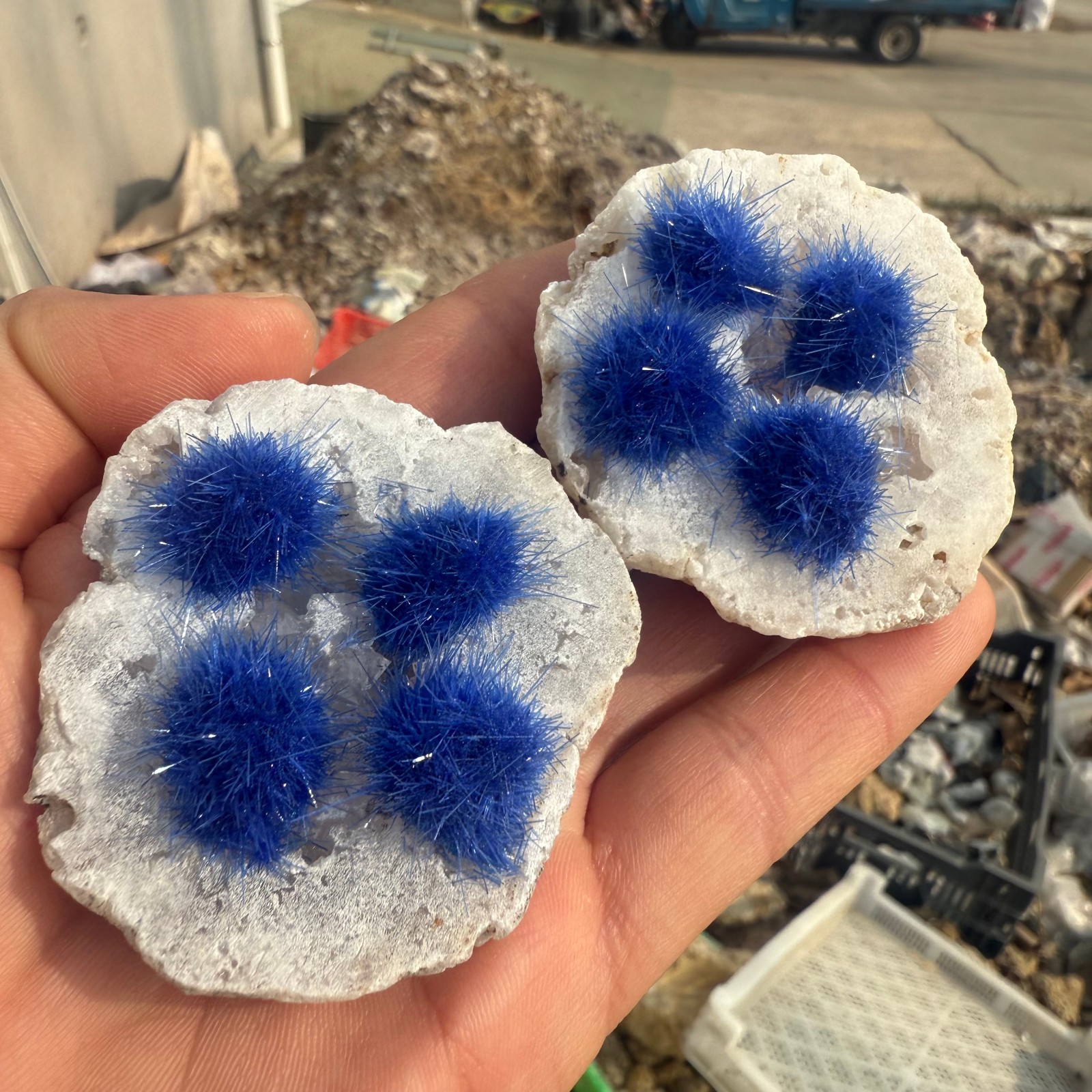 Raw Rough Dandelion Zeolite Cluster Blue Cave Quartz Crystal Decoration 10pc