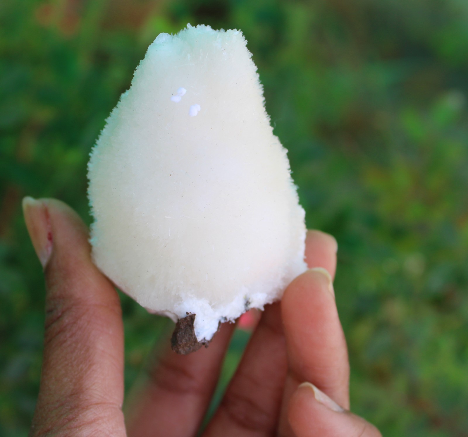 SCOLECITE ON MATRIX MINERALS SPECIMEN
