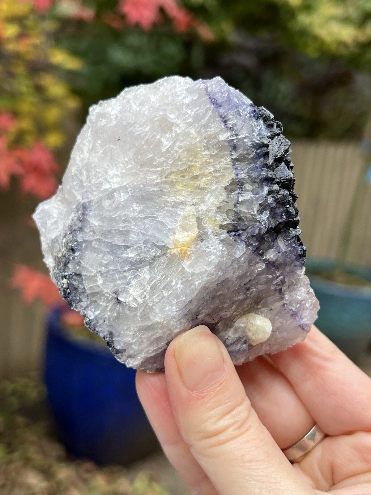 Blue John Fluorite Mineral Specimen United Kingdom 307g 10