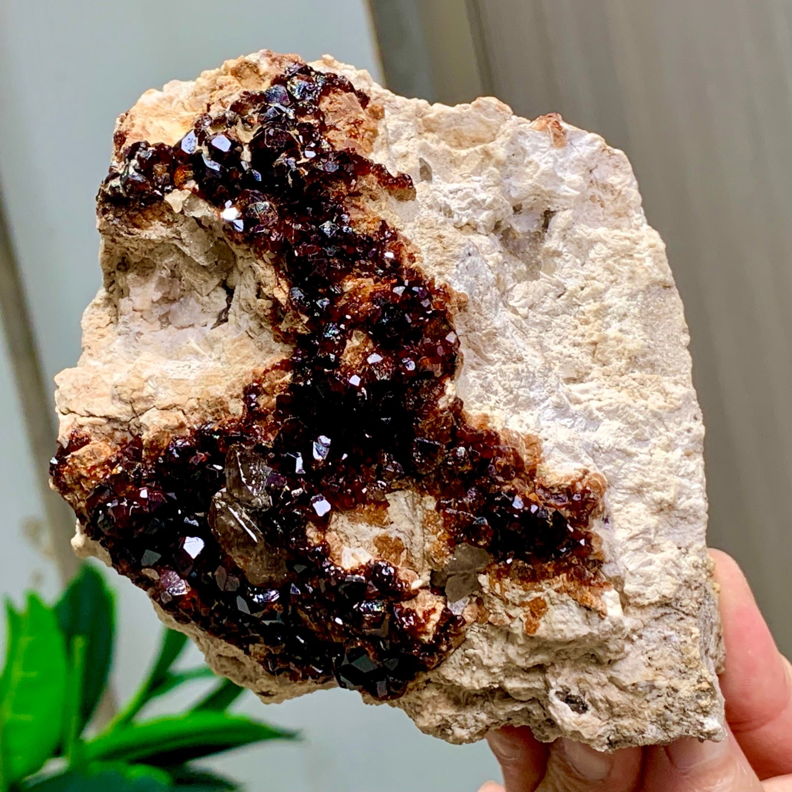 1.92LB Natural Garnet with smokey quartz cluster Crystal Mineral Specimen