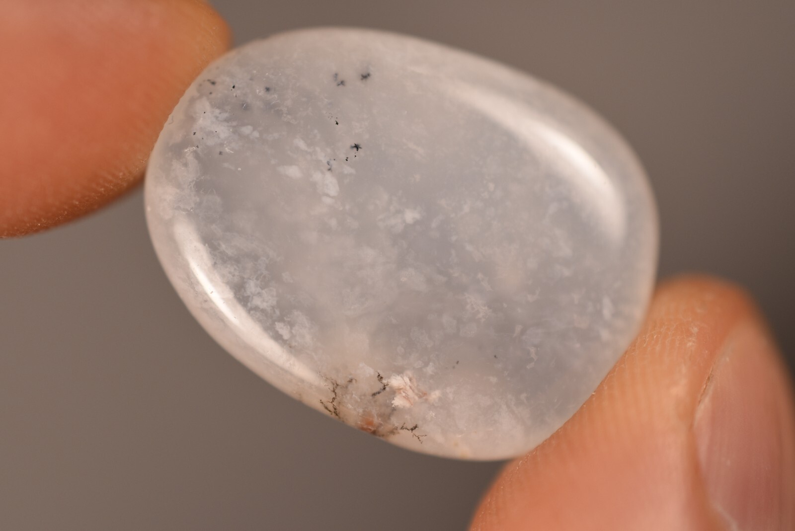 3 *DENDRITIC AGATE* Flat Stones 2-3cm 19.3g MERLINITE Chalcedony Palm Natural