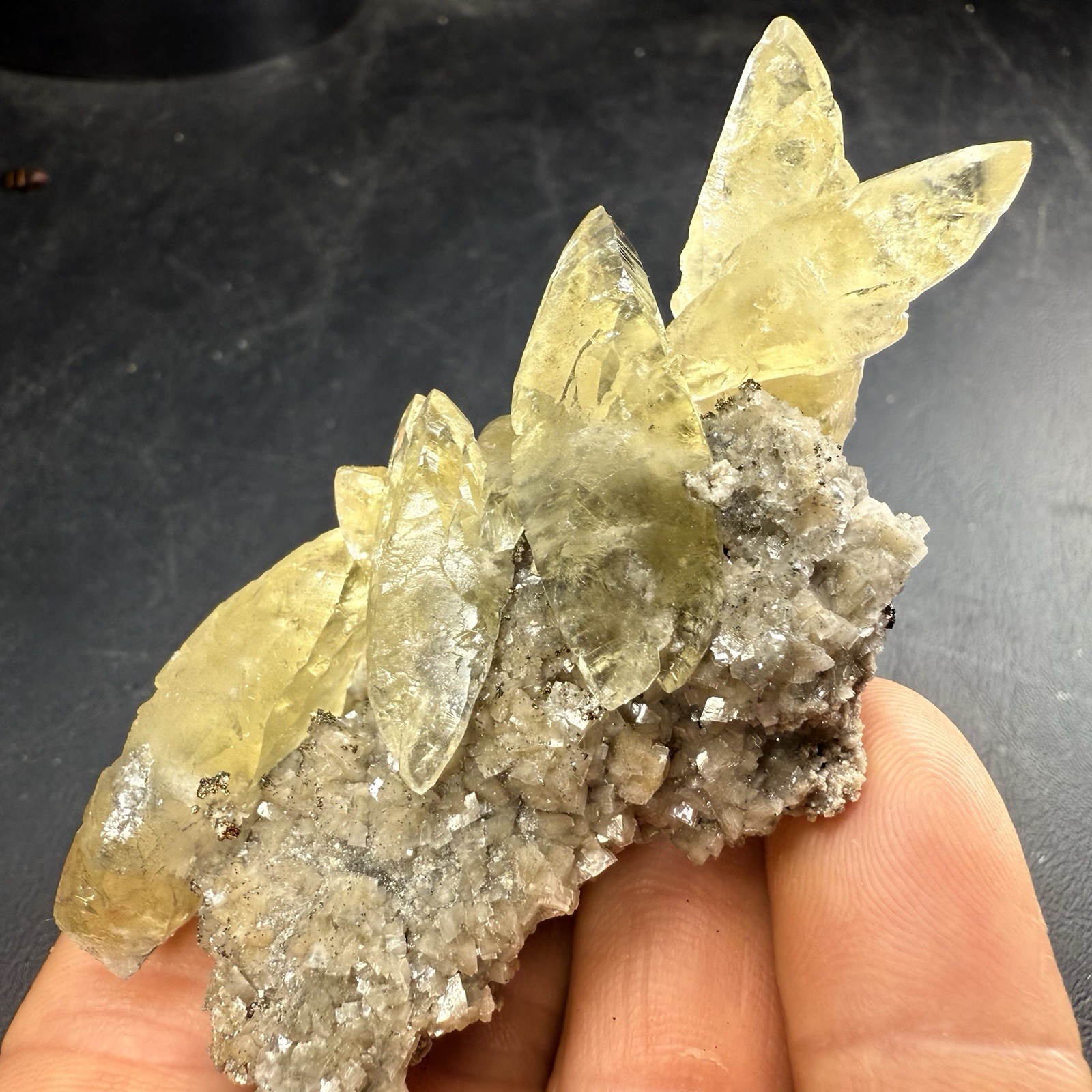 Golden Calcite Crystals on Chalcopyrite Dolomite Pyrite Matrix / Missouri