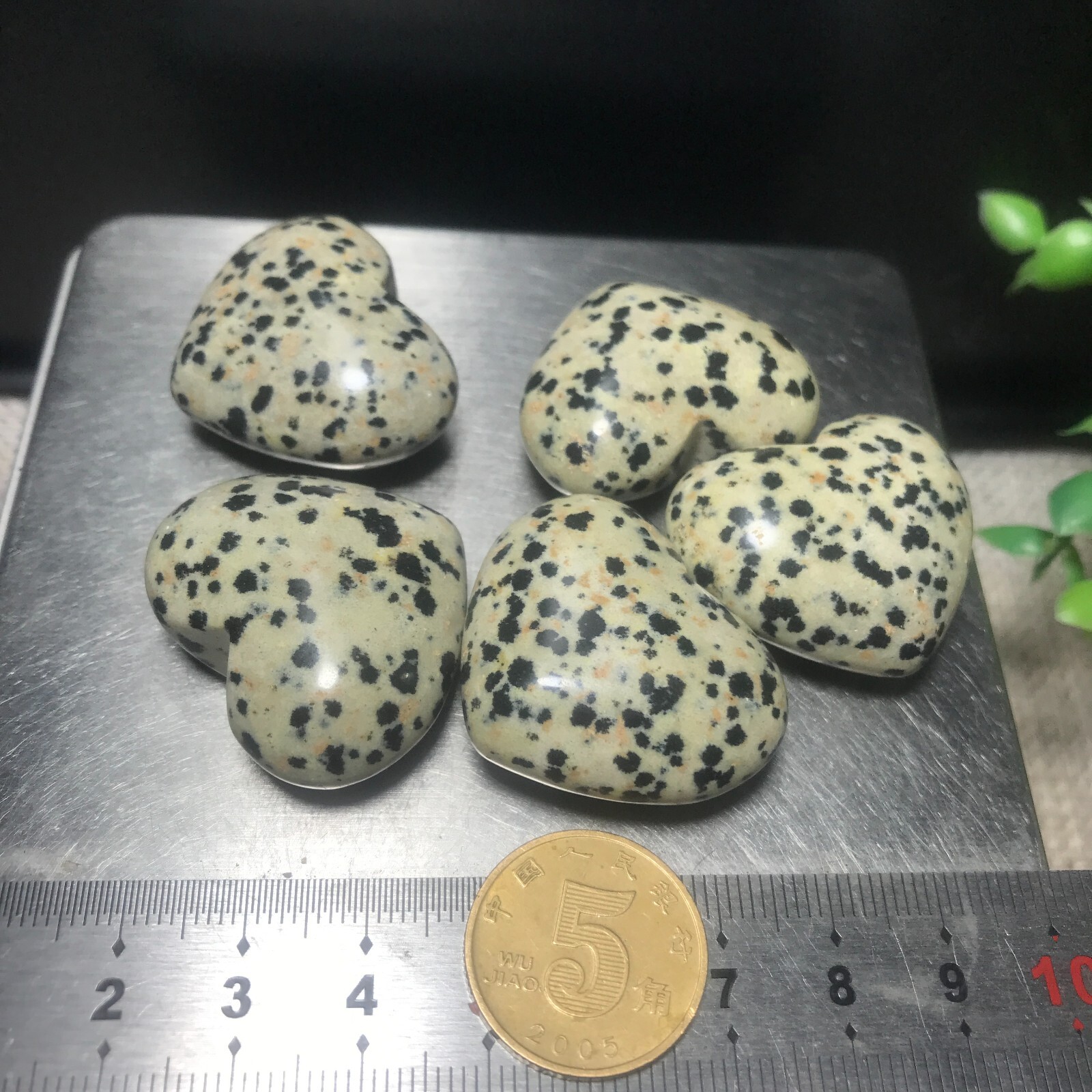 5PC 84g Natural Dalmatian Jasper Crystal Heart Crystal Home Office Decorative
