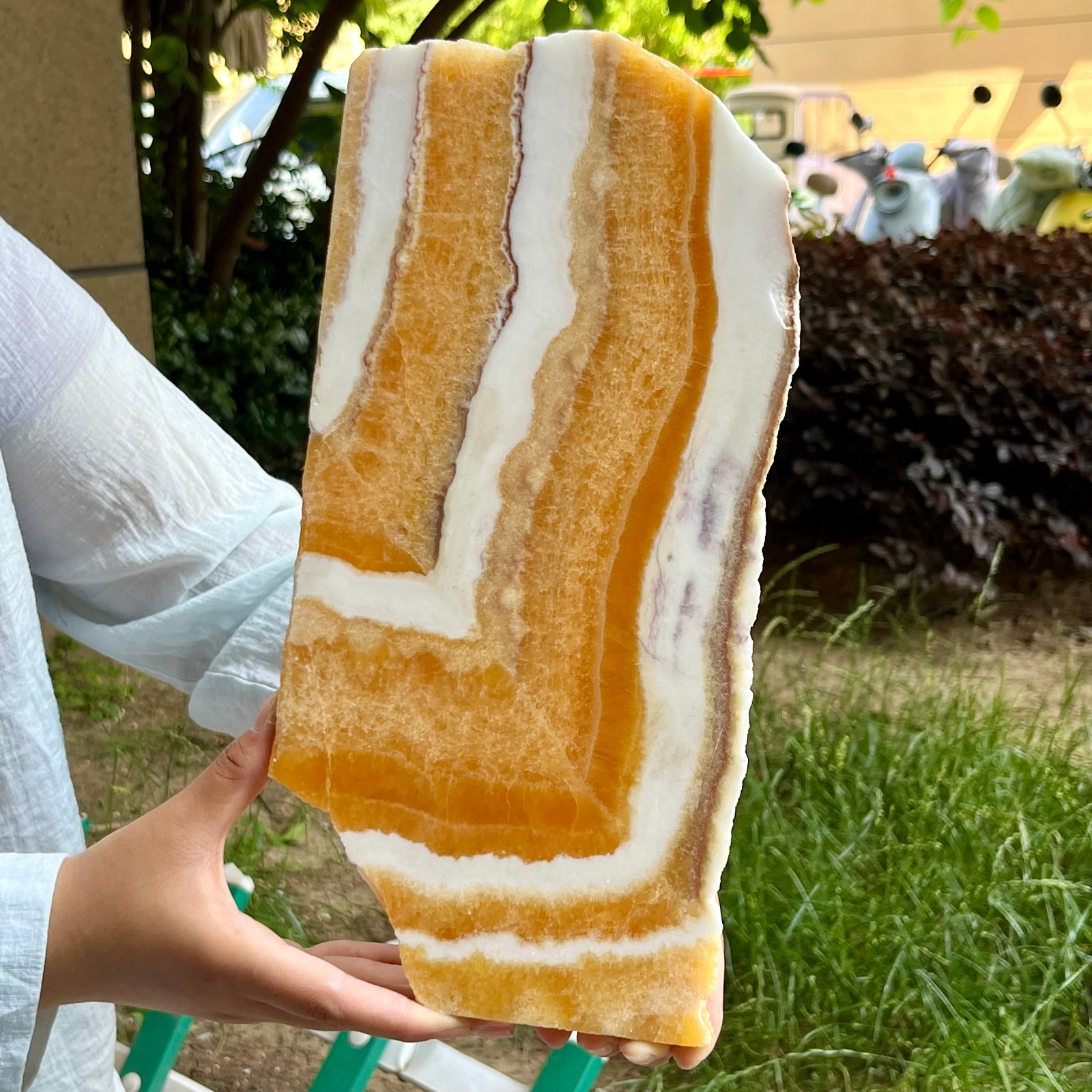 3.3 lb Yellow Calcite Crystal Polished Double Sided Slice Natural Specimen