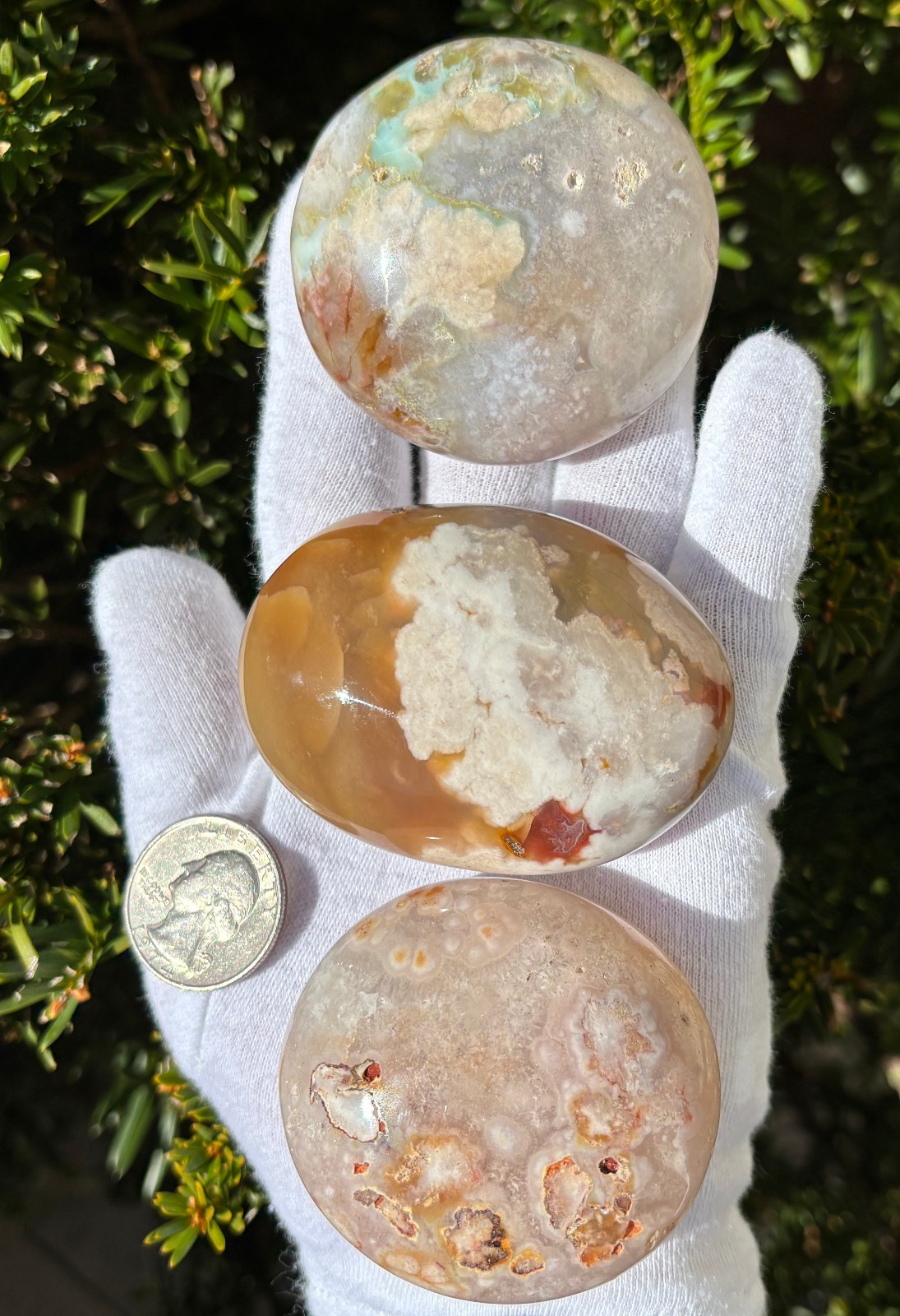 USA SALE 3/4Lb 367g LOT 3 FLOWER BLOSSOM AGATE PALMSTONES Palm Stones Stone