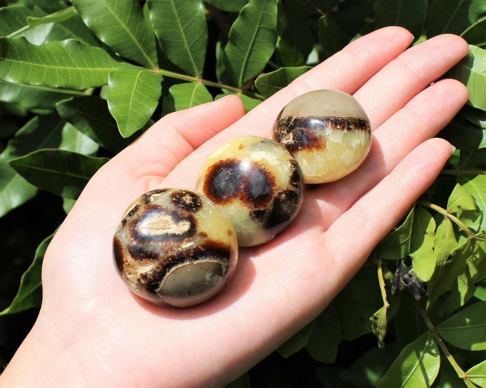 Septarian Hand Polished Palm Stone: ‘A’ Grade Septarian Pebble, Crystal