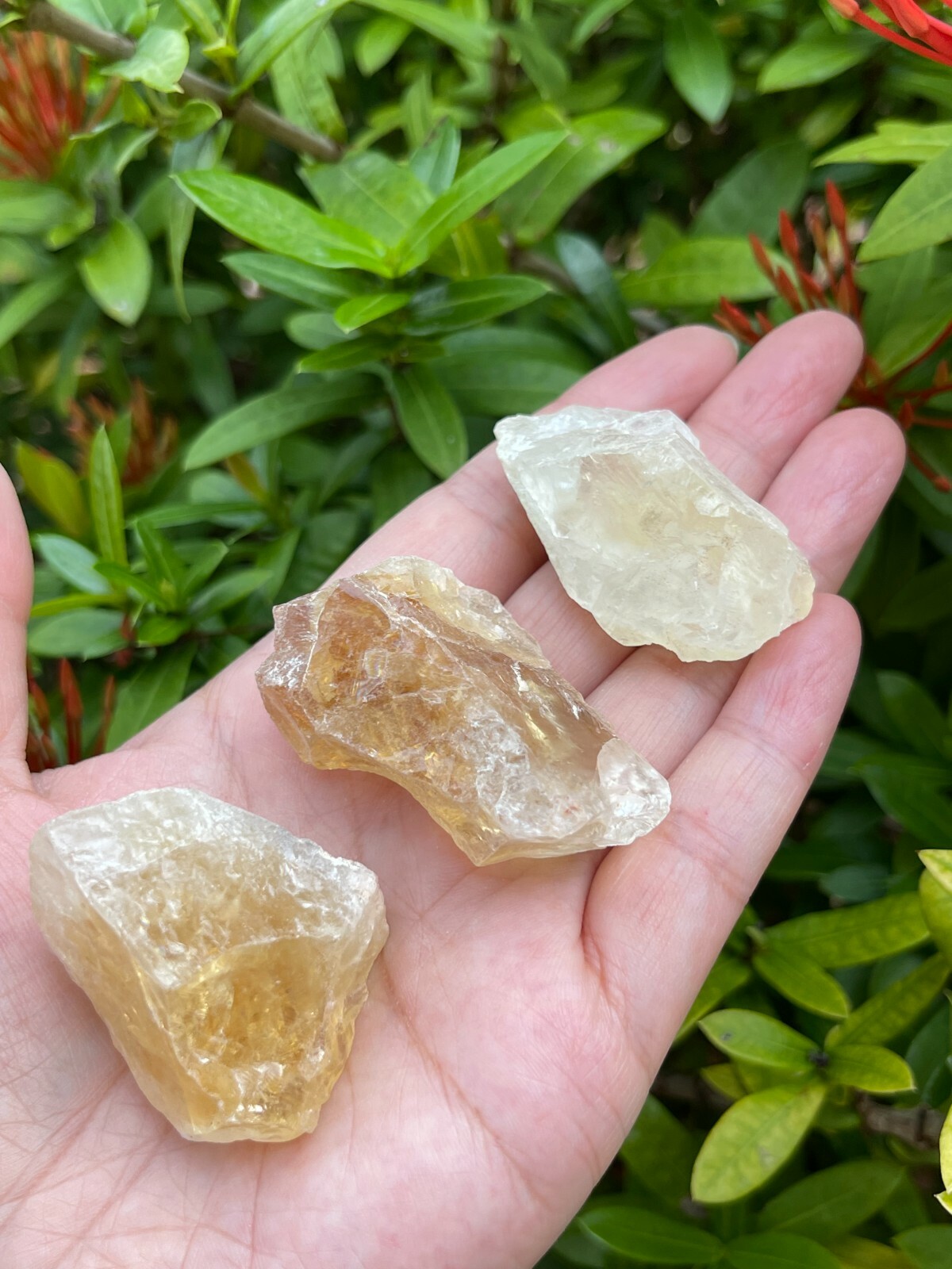 Citrine Raw Stone, 1.25″ – 2″ Rough Citrine Chunks, Raw Citrine Stones