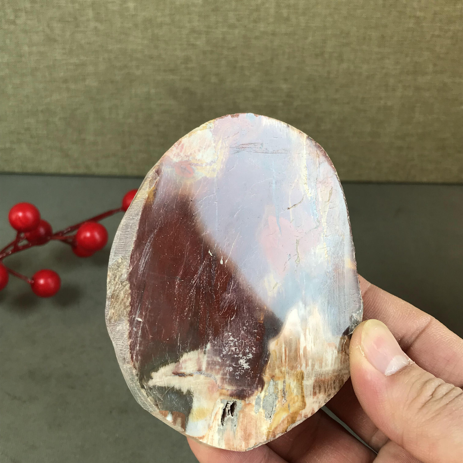 92mm natural Beautiful Petrified Wood Crystal Slice mineral specimen 266g A5424