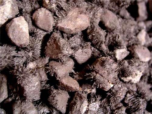 Magnetite all natural lodestone magnetic stone New Mexico 2 pound lot