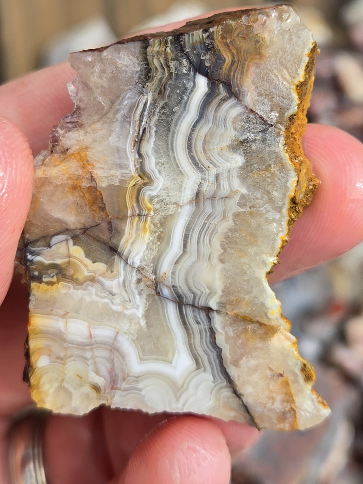 Crazy Lace Agate Rough Mexico – White Red Banding – Cut For Patterns 1 Pound