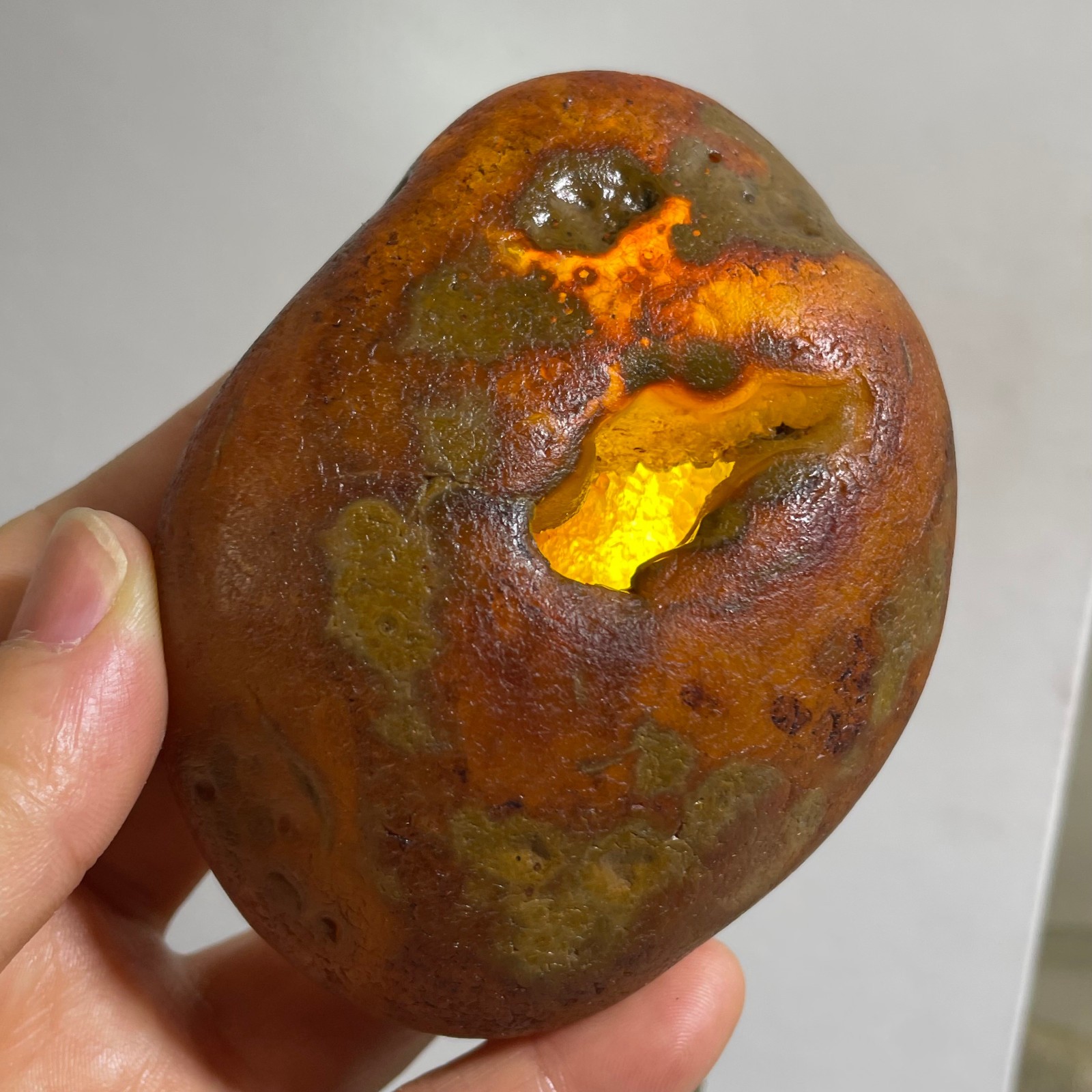 Bonsai Suiseki- Gobi Agate Eyes Stone-Rare Stunning Viewing 290g