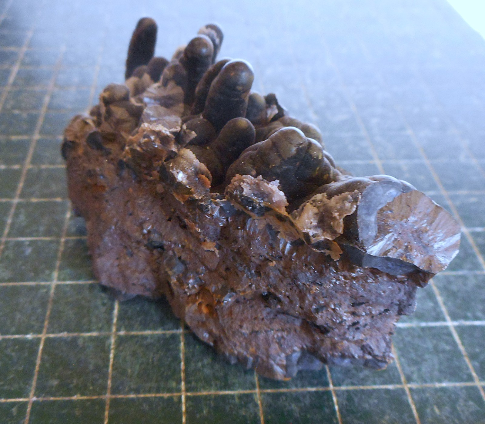Brown Bubbly Goethite Crystal Plate . Natural Specimen . 3.0″