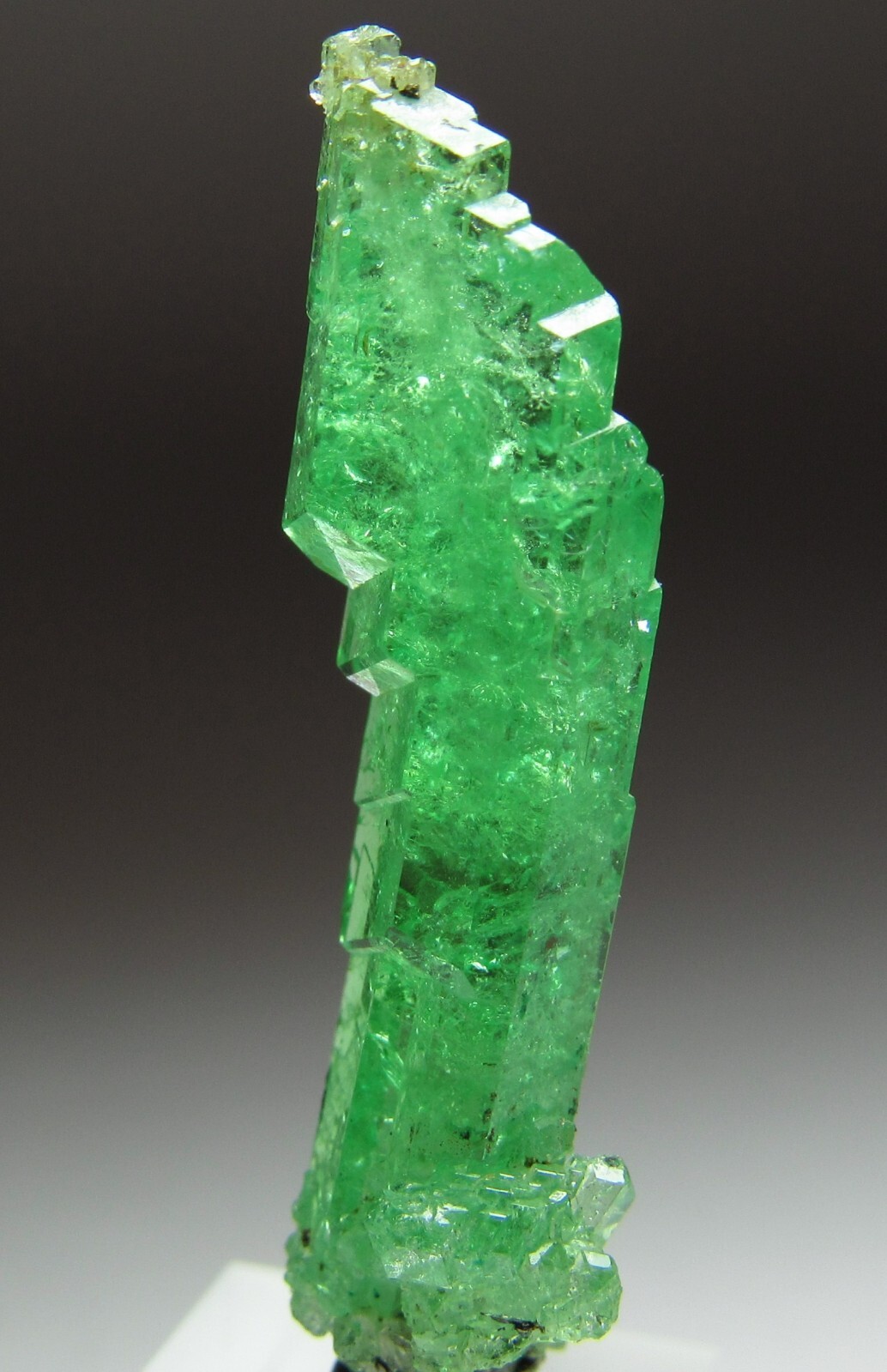 UNSURPASSED ELITE LIGHTNING BOLT TSAVORITE GROSSULAR GARNET CRYSTAL!!! TANZANIA
