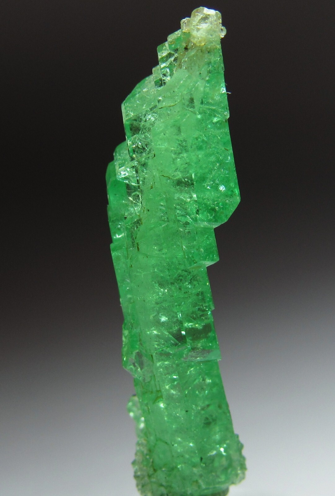 UNSURPASSED ELITE LIGHTNING BOLT TSAVORITE GROSSULAR GARNET CRYSTAL!!! TANZANIA