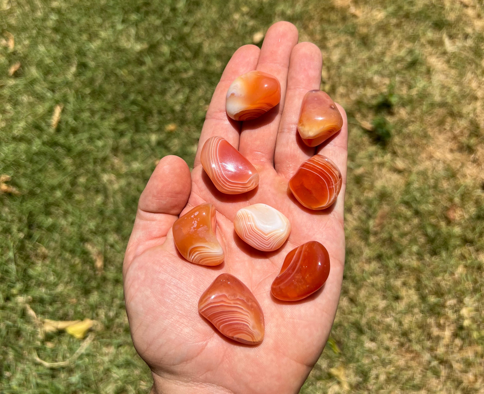 Banded Carnelian “Ruby Red” Tumbled Gemstones – Bulk Wholesale Options – 1 LB