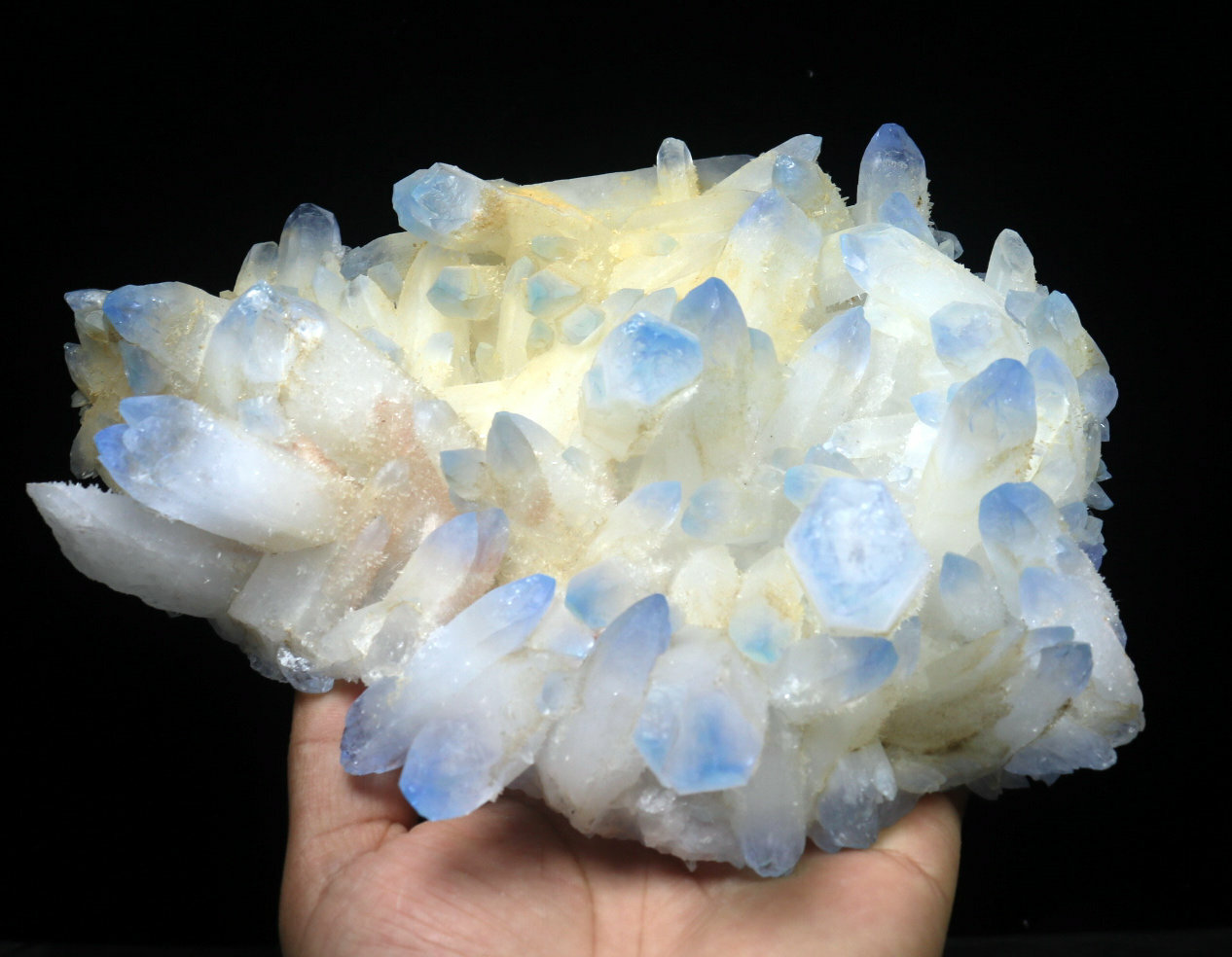 2.45 lb Rare Beatiful Blue Tibetan Ghost phantom Quartz Crystal Cluster Specimen
