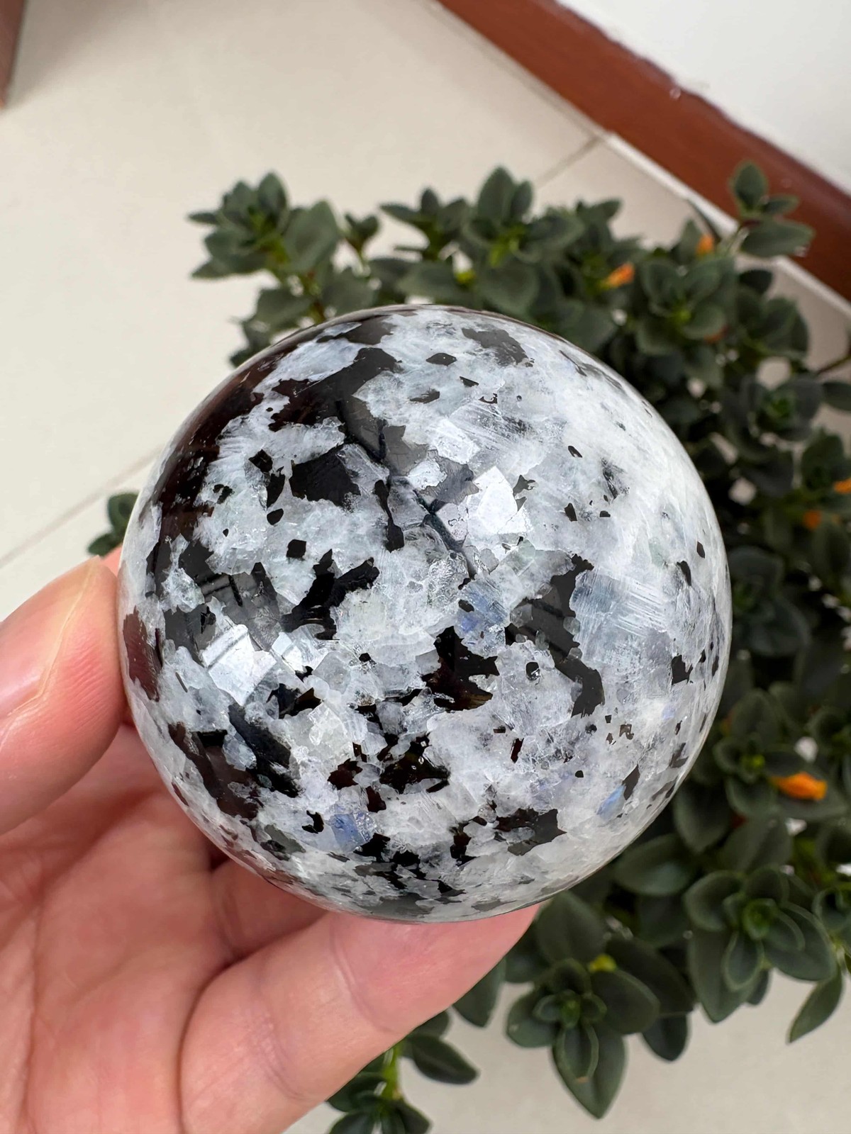 Natural Black And White Moonstone Sphere 2.55″ 0.677 lb Crystal Ball Healing