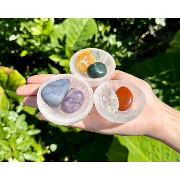 Natural Selenite Charging Bowls Polished Crystal Carving Specimens Collection