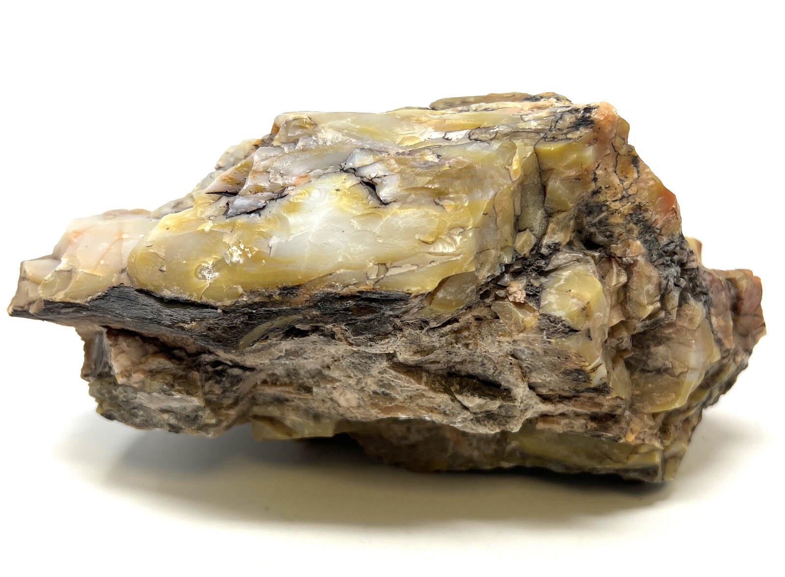 Loose Natural Stone – United States: Petrified Wood 3lb Raw/Natural