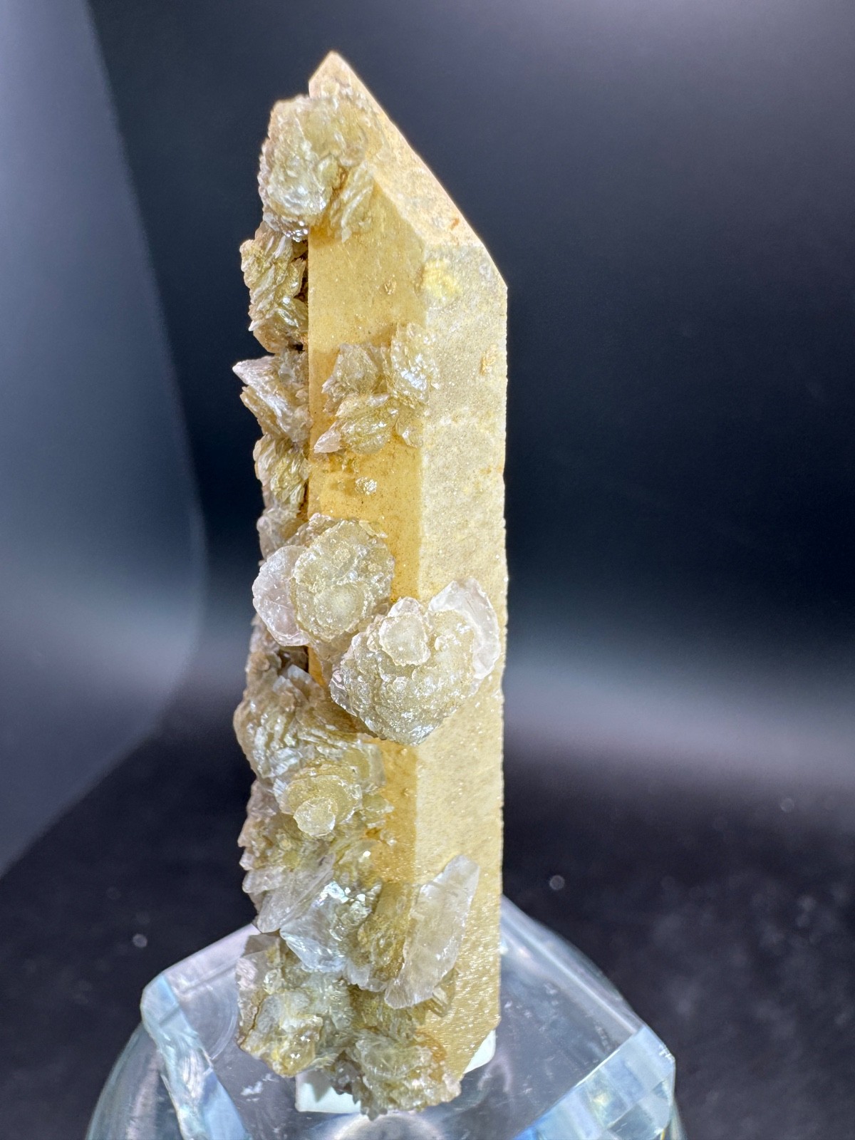 6631 Yellow Candle Quartz Point with Petal Calcite Inner Mongolia 28g