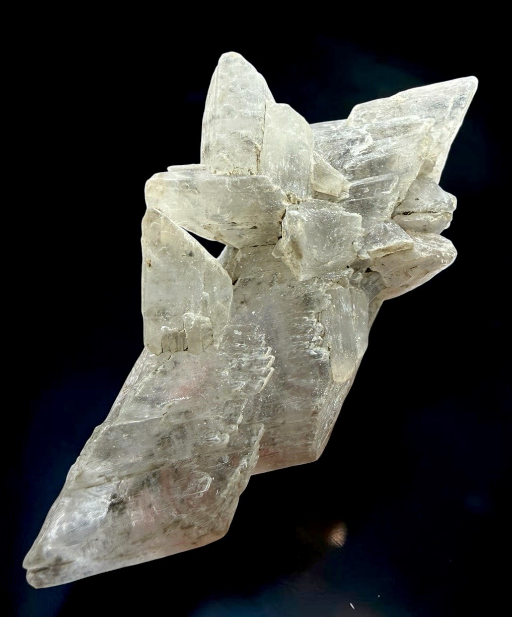 Gypsum Var. Selenite Crystal : Smoky Hill . Ellis County , Kansas 🇺🇸