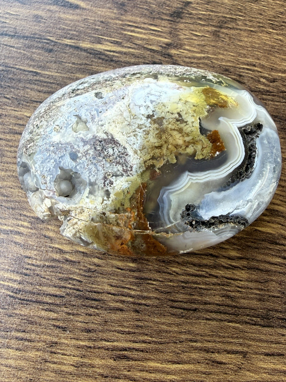 Authentic Scenic Moss Agate Crystal Palm Stone From Indonesia,Collector, gift
