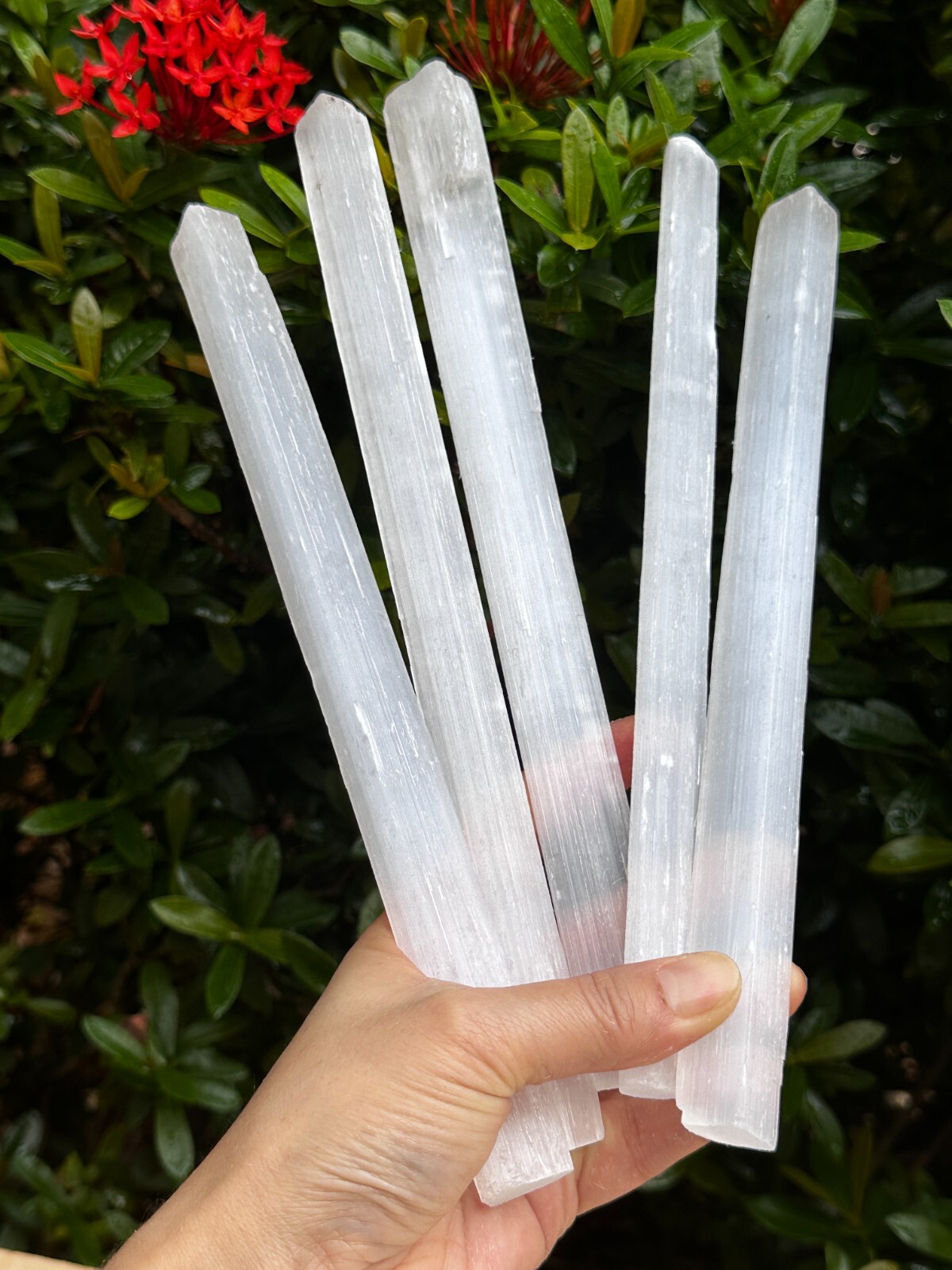 9-10″ Selenite Long Sticks, Bar, Wand, White Healing Stone, Wholesale Bulk Lot
