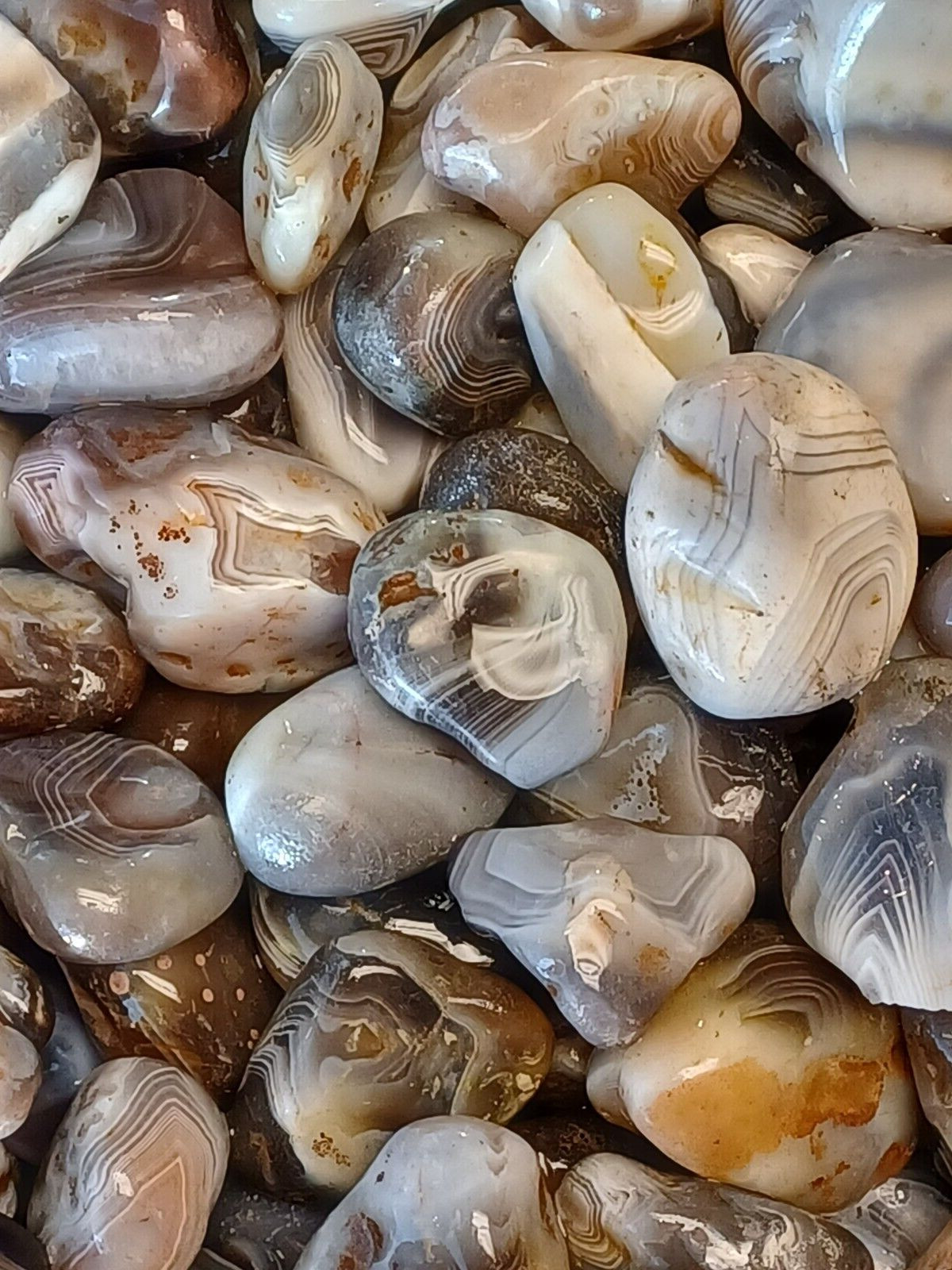 Botswana Agate rough 1-2″ A+ pound lbs tumbling lapidary banding wholesale bulk