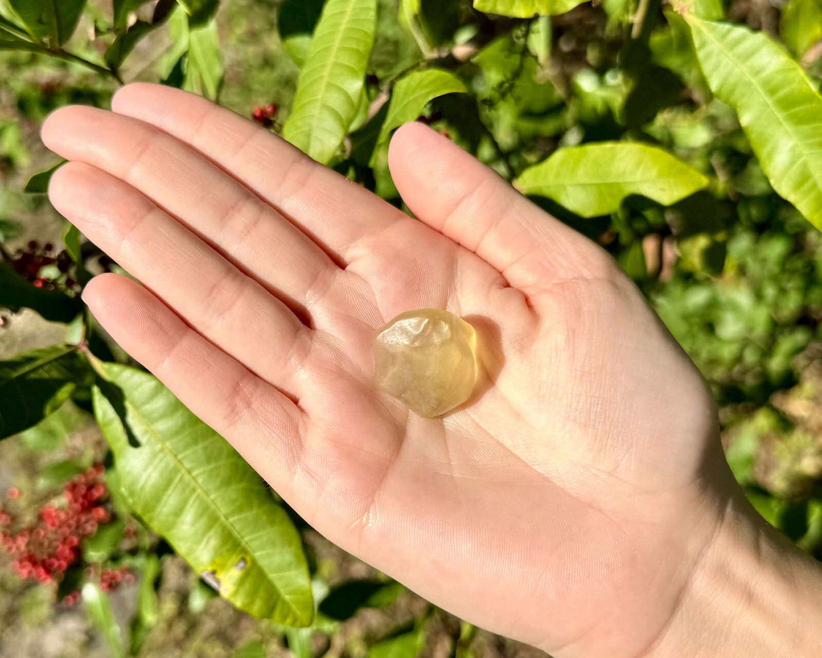 Natural Libyan Desert Glass – 100% Genuine Premium Quality Libyan Gold Tektite