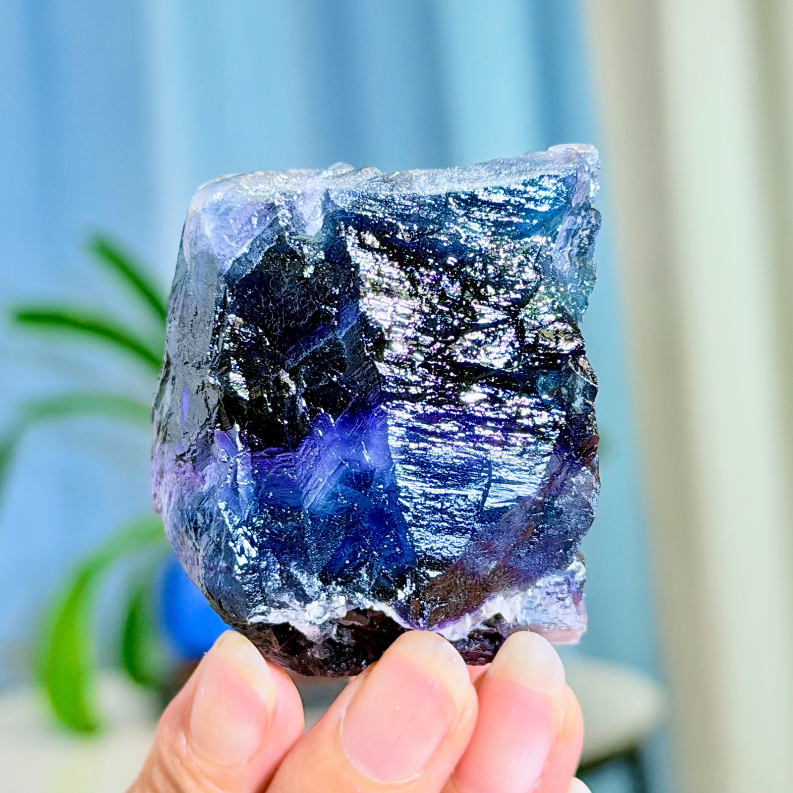 205G Rare transparent purple cubic fluorite mineral crystal sample/China