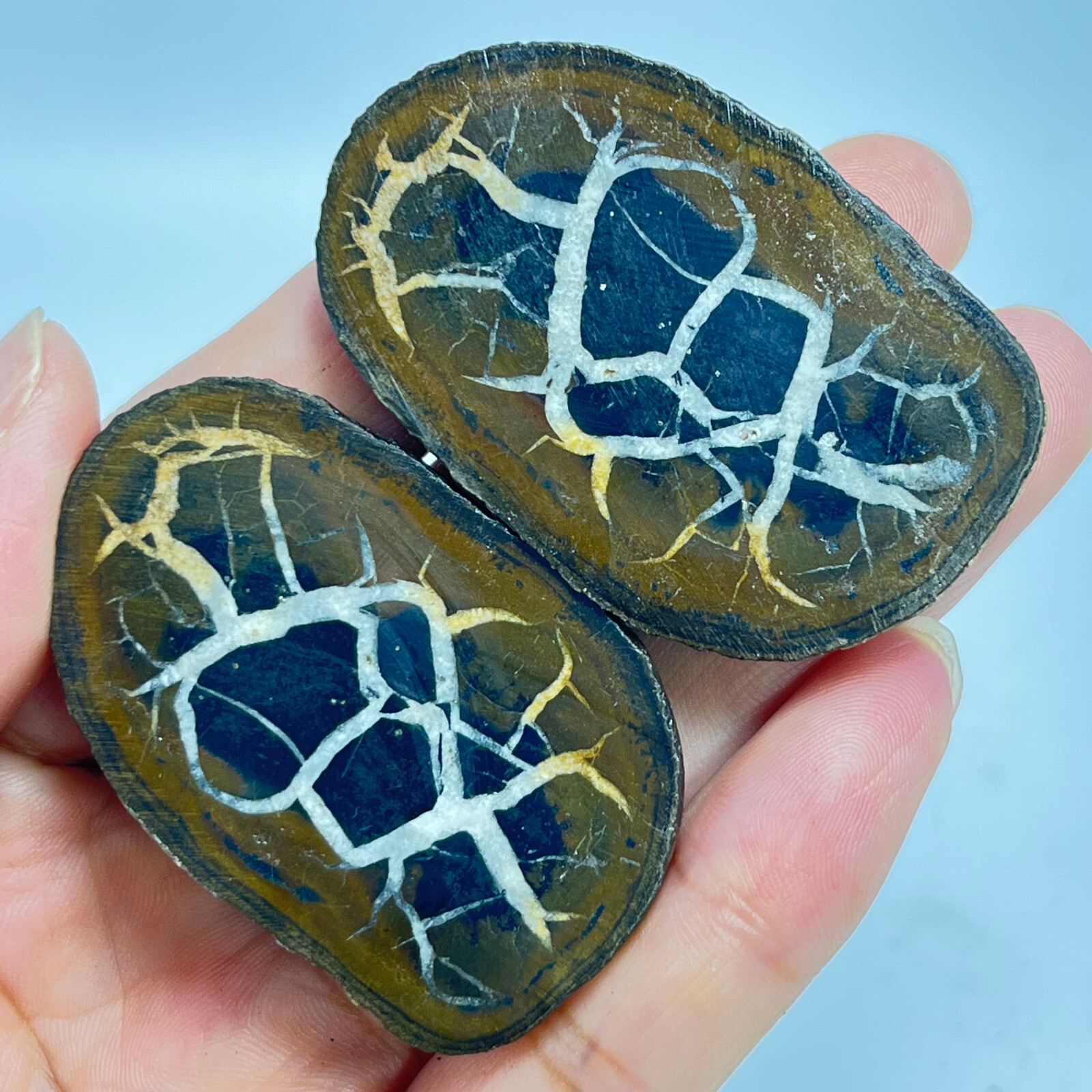 62G Natural Crystal Moroccan Turtle Back Stone Cutting Quartz Energy Spirit