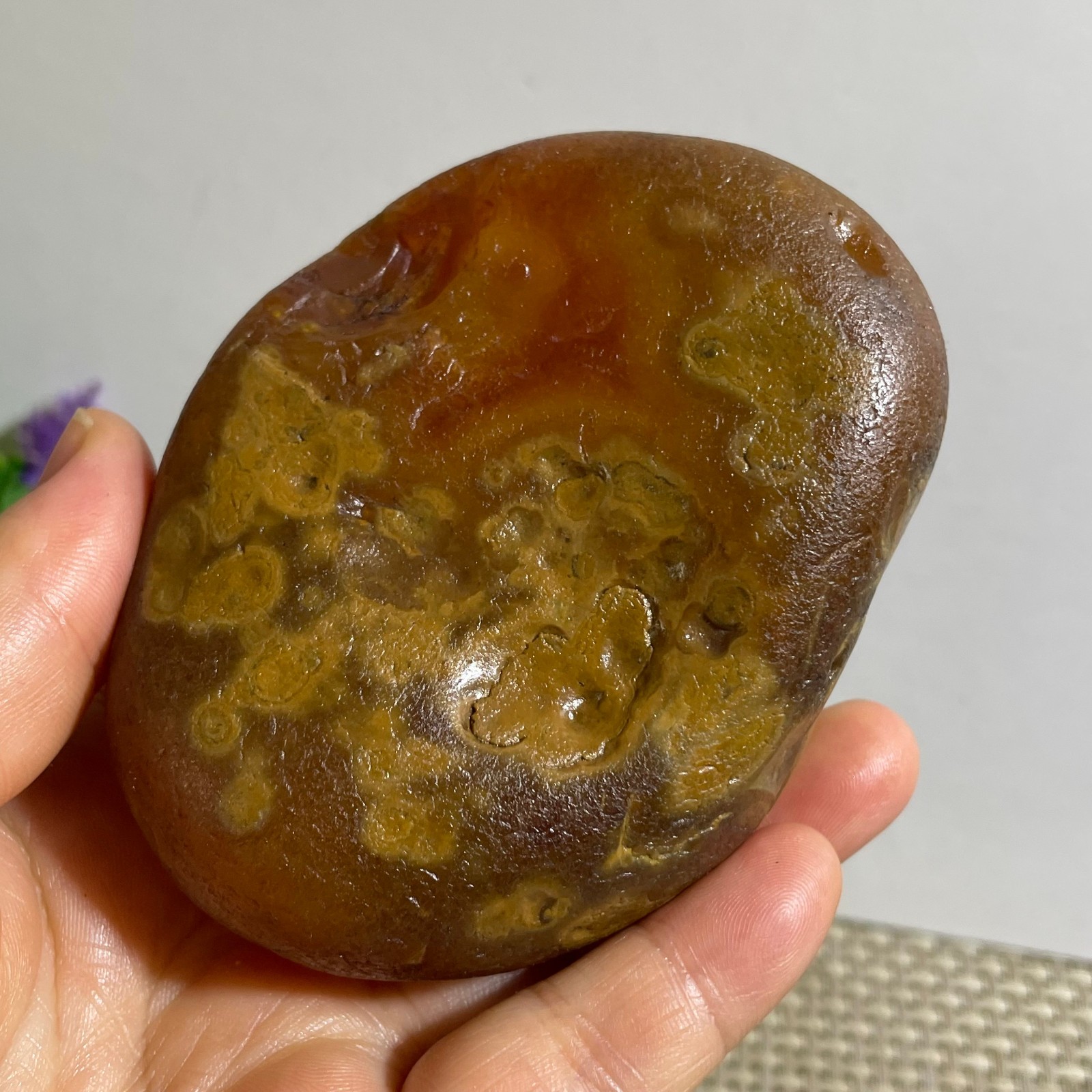 Bonsai Suiseki- Gobi Agate Eyes Stone-Rare Stunning Viewing 290g