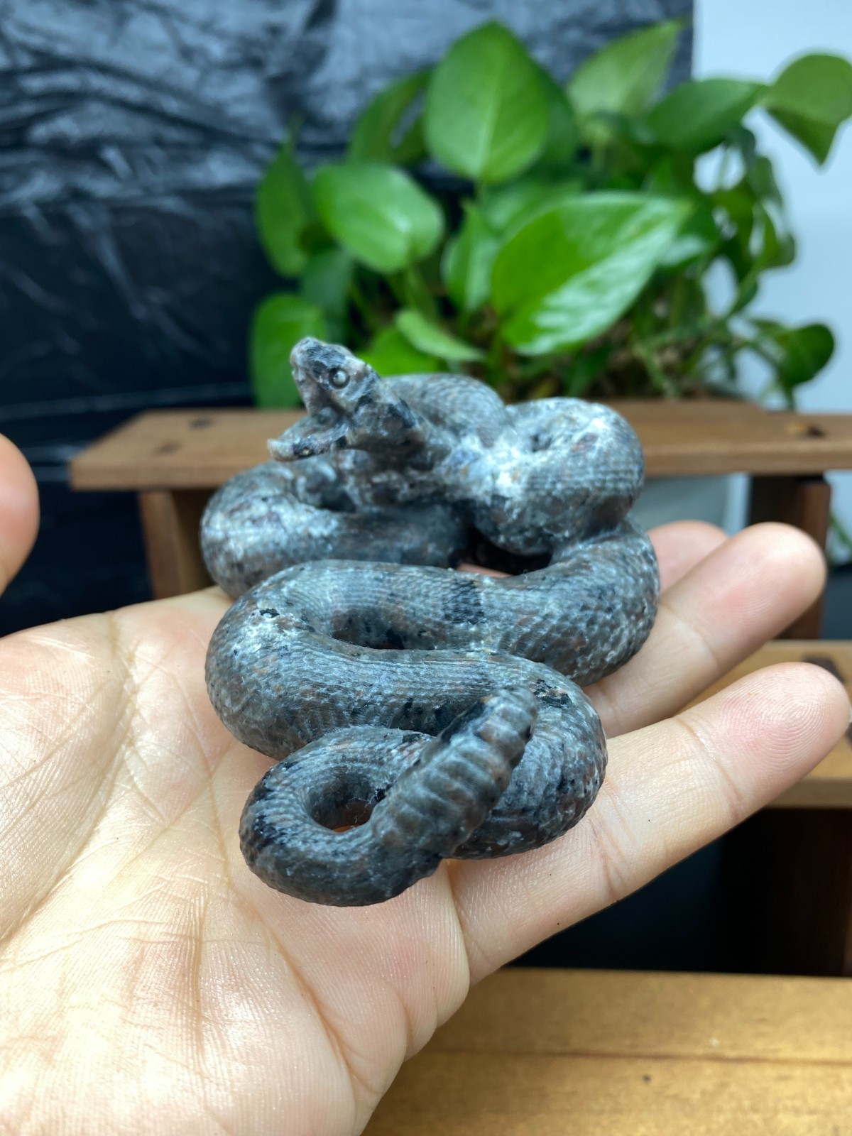 3.7” Natural Yooperlite Quartz Crystal Carved Snake skull reiki healin gift 1pc