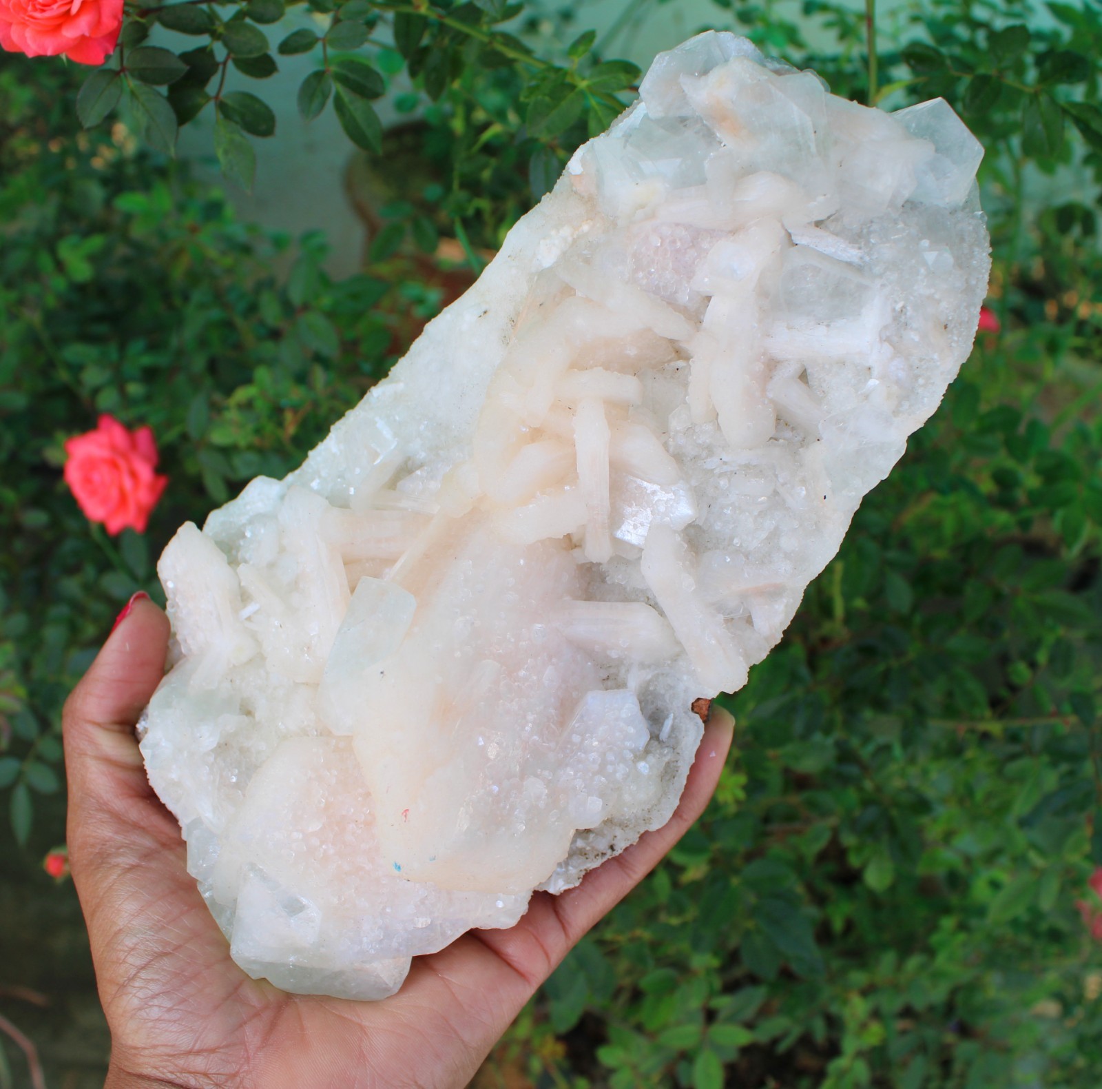APOPHYLLITE, STILBITE Format On CHALCEDONY CORAL Matrix Minerals specimen #A1