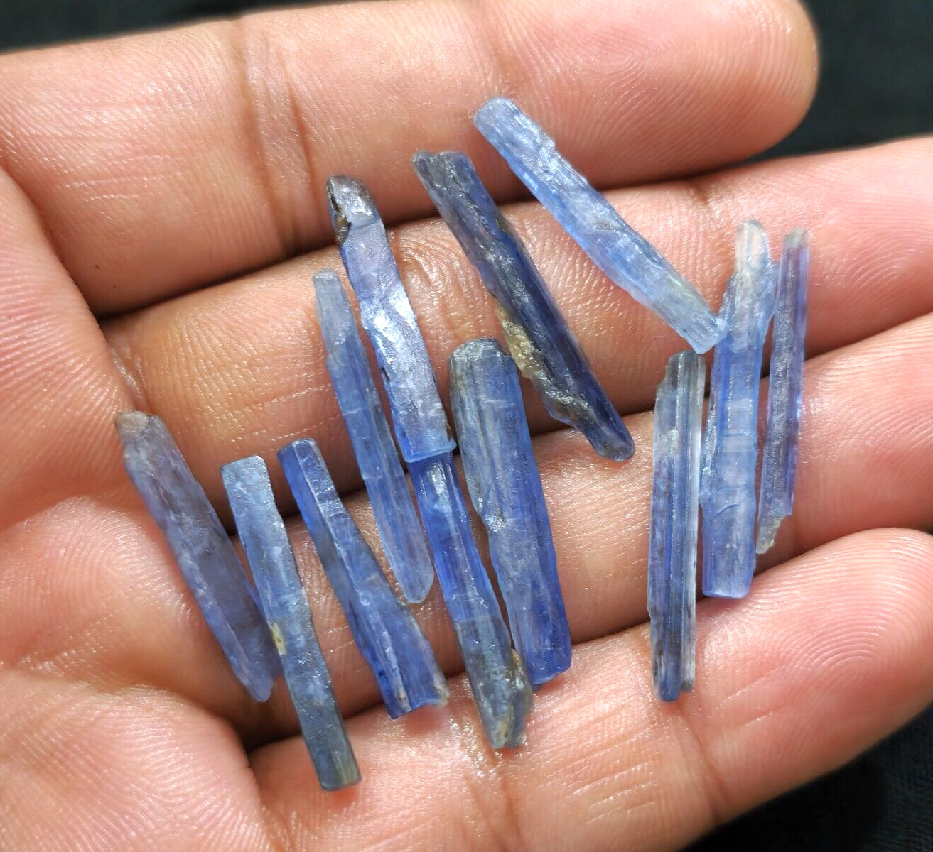 Ultimate Blue Kyanite Rough Shards 12 Pcs Lot Size 23-28 MM Rare Loose Gemstone