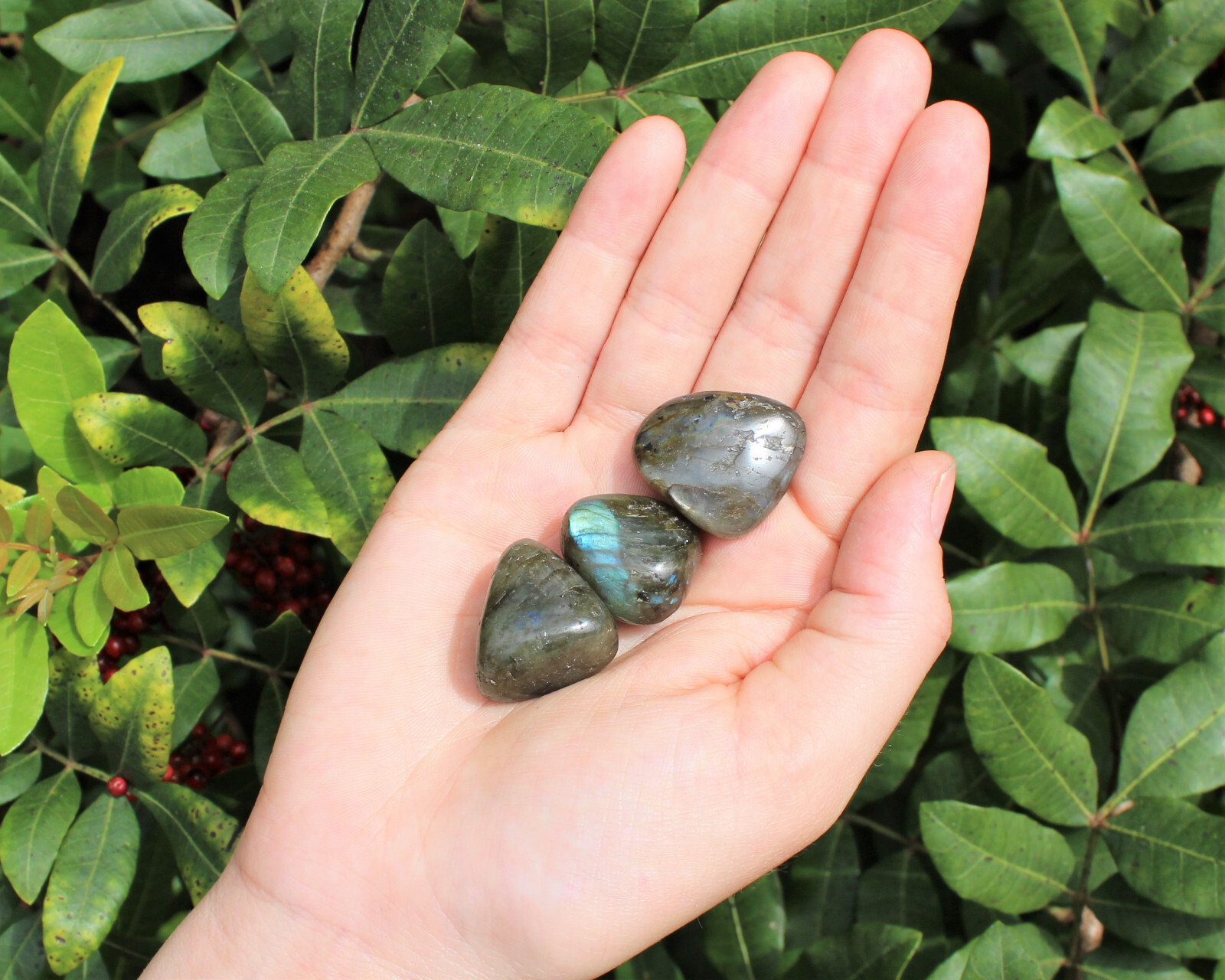 Labradorite Tumbled Stones: Choose How Many Pieces (‘A’ Grade Natural Polished)