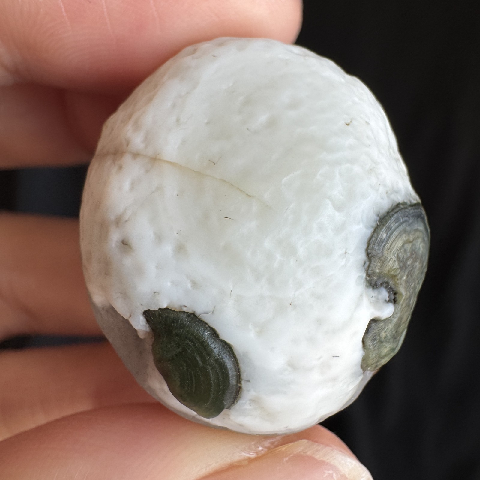 3.1cm/28.2g Natural Big Alxa Gobi Desert Relief Eye Agate,Mongolia-1023