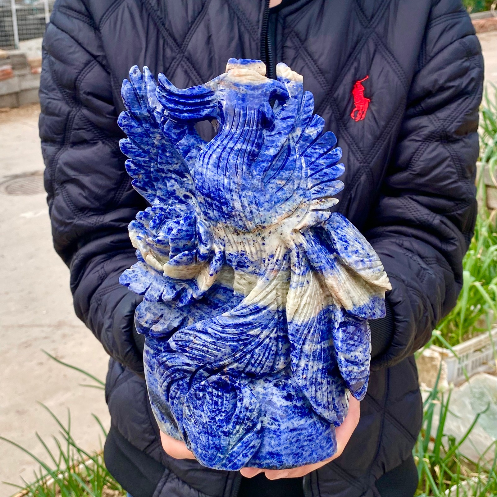 7LB Natural Blue Texture Crystal Carving Phoenix Rose Spiritual Energy