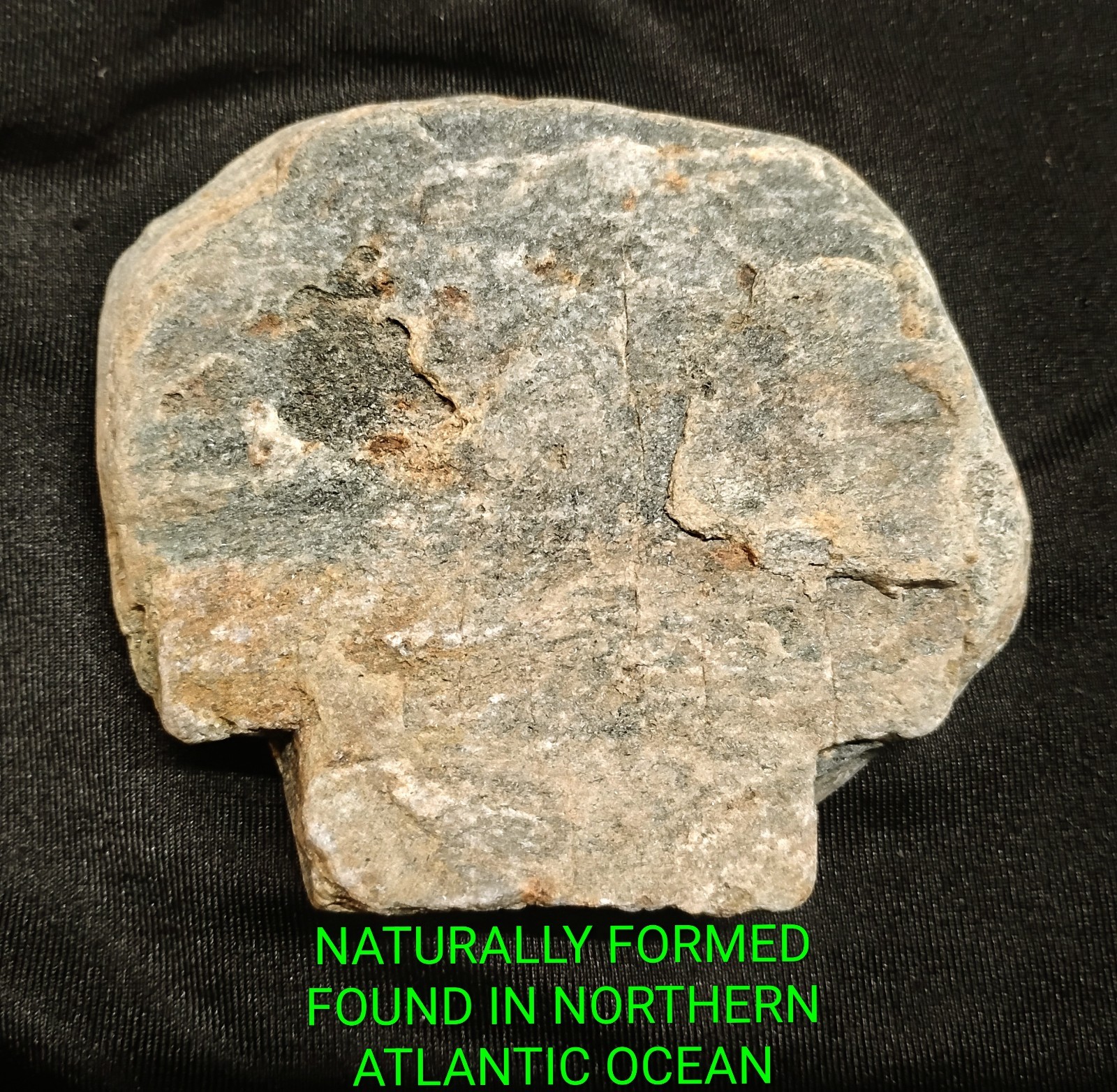 RARE Natural Skull Shaped Phyllite – Human Head Profile w/ Pirate Patch Eye