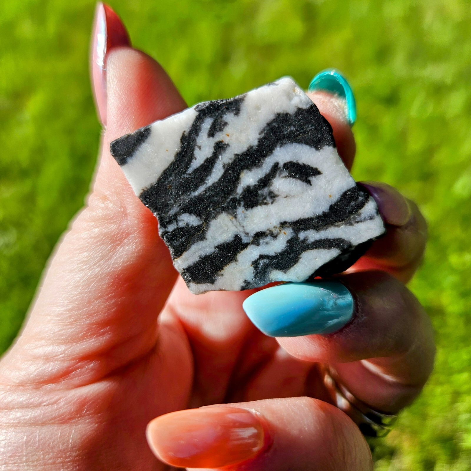 Zebra Calcite Layered Banded Stone Crystal Natural Raw Black And White ~1.5 In